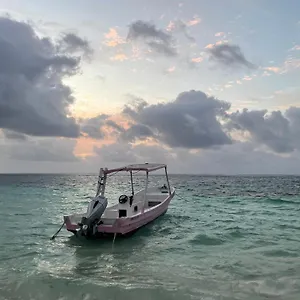 Gasthof Home's Jungle Puerto Morelos 20 Minutes From The Airport Cancún